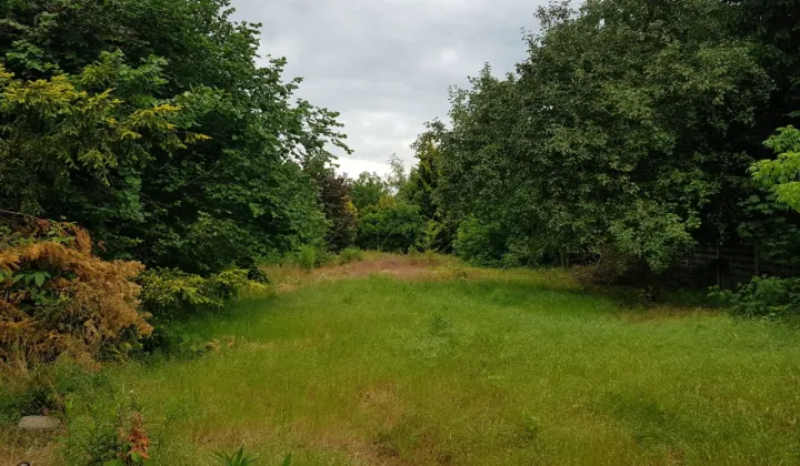 Działka budowlana Grodzisk Mazowiecki Centrum, ul. S. Żeromskiego