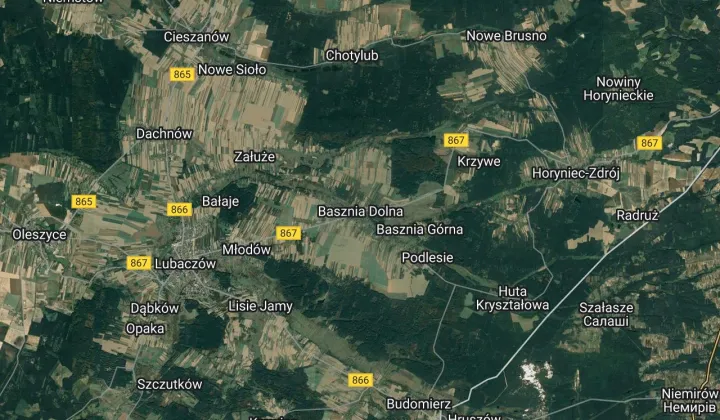 Działka leśna Basznia Dolna