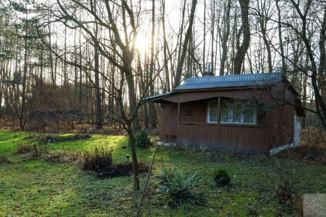 Działka Białobrzegi. Zdjęcie 8