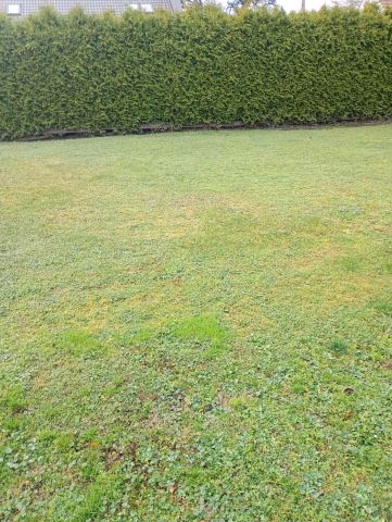 Działka budowlana Płośnica, Dworcowa. Zdjęcie 1