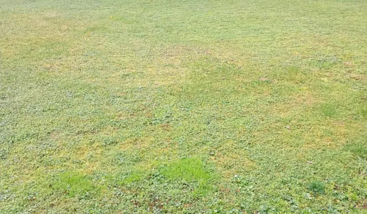 Działka budowlana Płośnica, Dworcowa