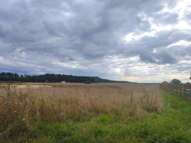 Działka budowlana Zdory. Zdjęcie 6