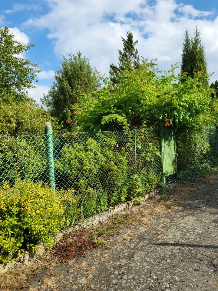 Działka rod Gliwice Sikornik, ul. Czapli. Zdjęcie 2