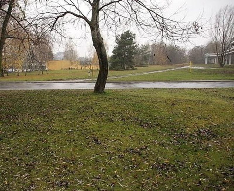 Działka inwestycyjna Koziegłowy, ul. Piaskowa. Zdjęcie 3