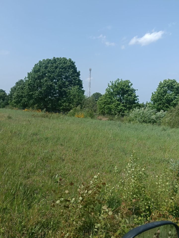 Działka budowlana Bierkowo. Zdjęcie 8