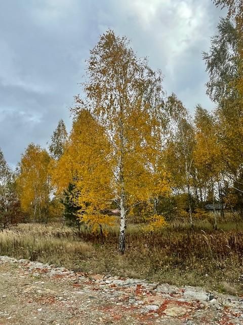 Działka budowlana Wola Mrokowska, ul. Ogrodowa. Zdjęcie 4