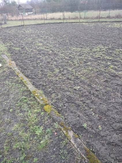 Działka rod Wrocław Psie Pole. Zdjęcie 4