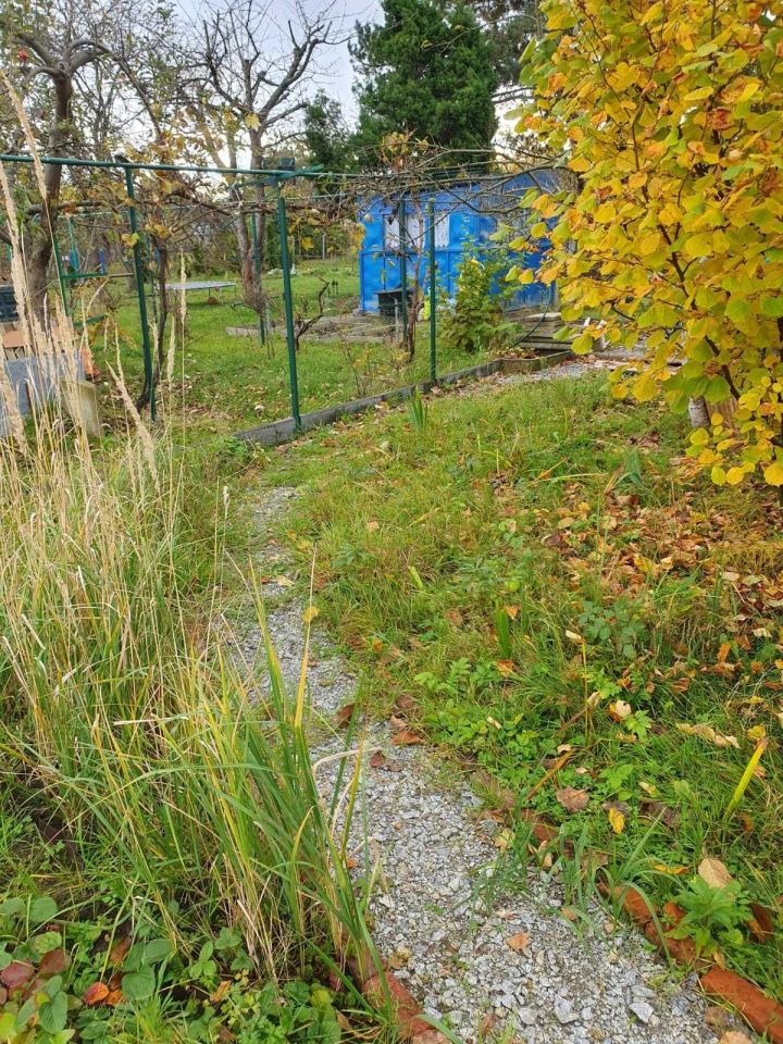 Działka rod Bielany Wrocławskie. Zdjęcie 4