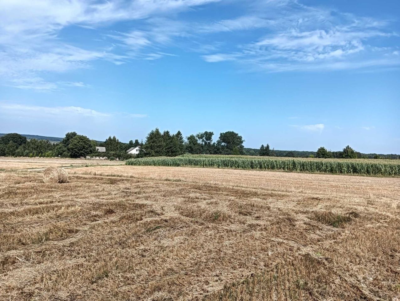 Działka rolno-budowlana Jezioro. Zdjęcie 7