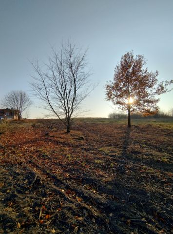 Działka budowlana Olkusz Czarna Góra, ul. 29 Listopada. Zdjęcie 1