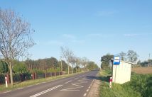 Działka budowlana Grzybów. Zdjęcie 2