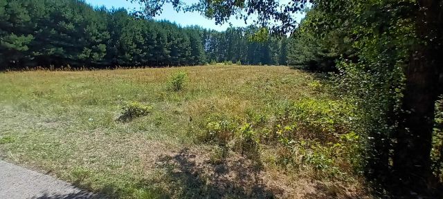 Działka rolno-budowlana Podżar. Zdjęcie 1