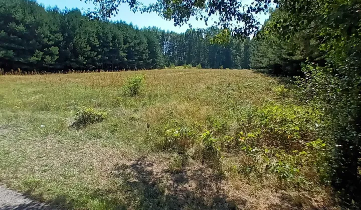 Działka rolno-budowlana Podżar