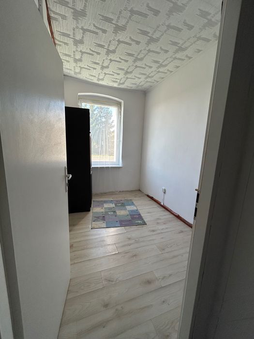 bliźniak Wolin. Zdjęcie 6