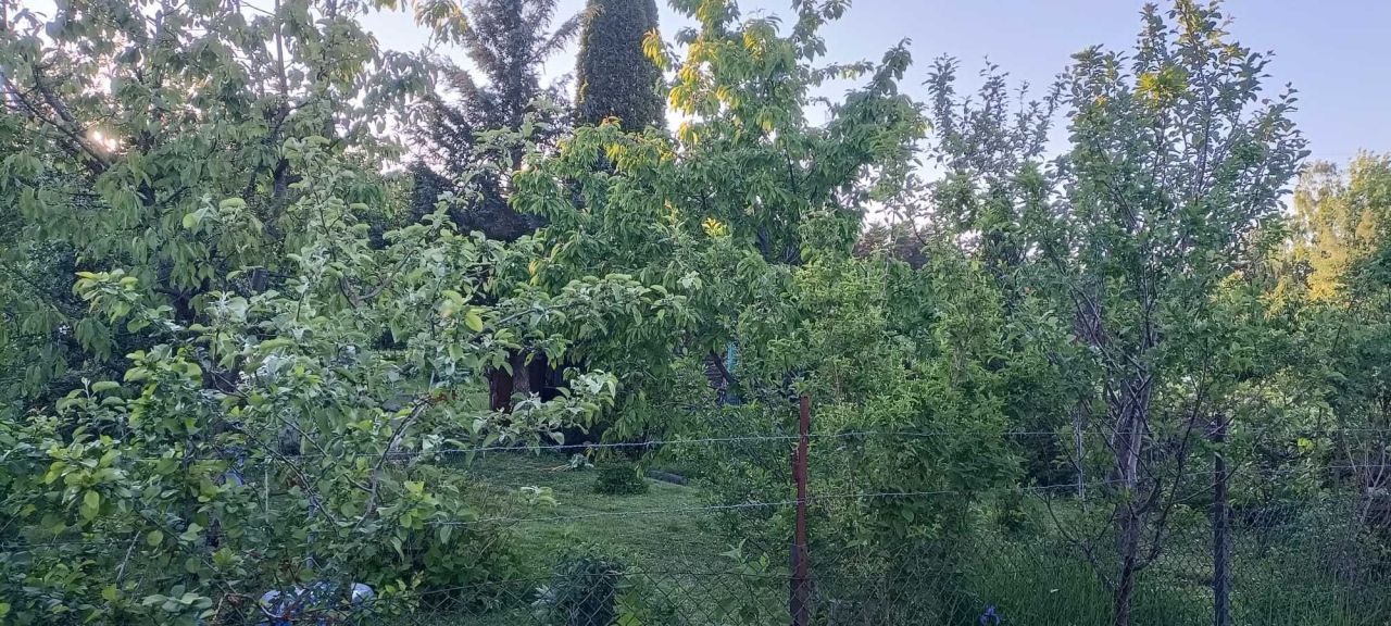 Działka rod Olsztyn. Zdjęcie 5