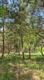 Działka rolno-budowlana Stpice. Zdjęcie 2
