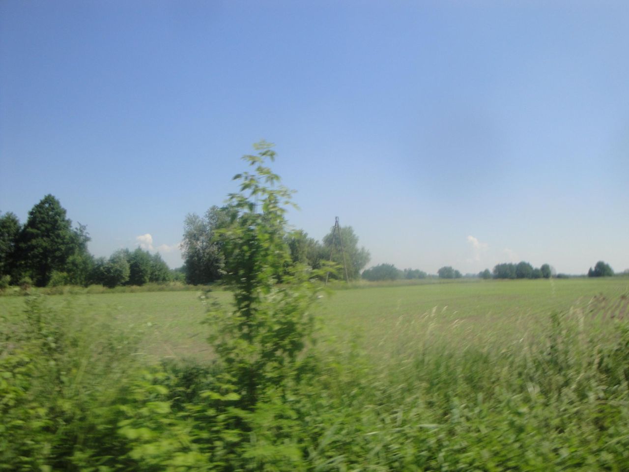 Działka rolno-budowlana Baranów, ul. Brzozowa. Zdjęcie 3