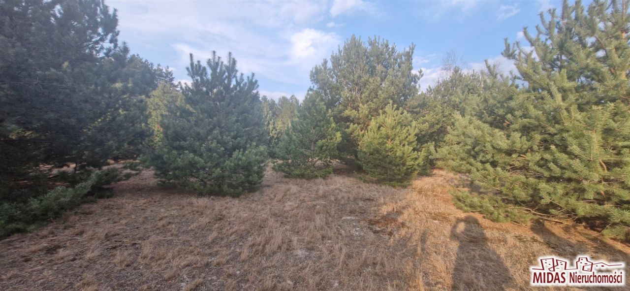 Działka budowlana Kowal. Zdjęcie 4