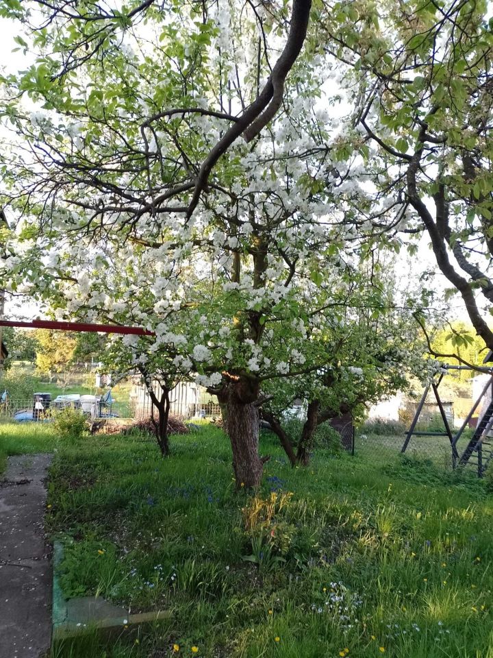 Działka rod Tczew, ul. Targowa. Zdjęcie 7