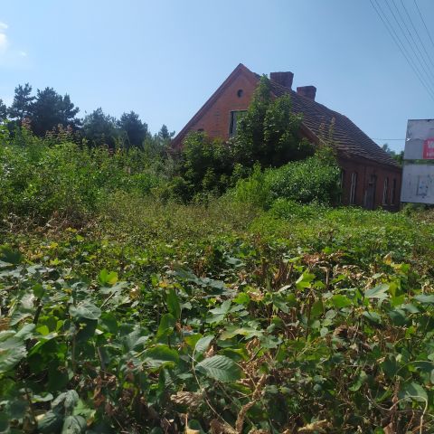 Działka rolno-budowlana Rychnowy, Rychnowy. Zdjęcie 2