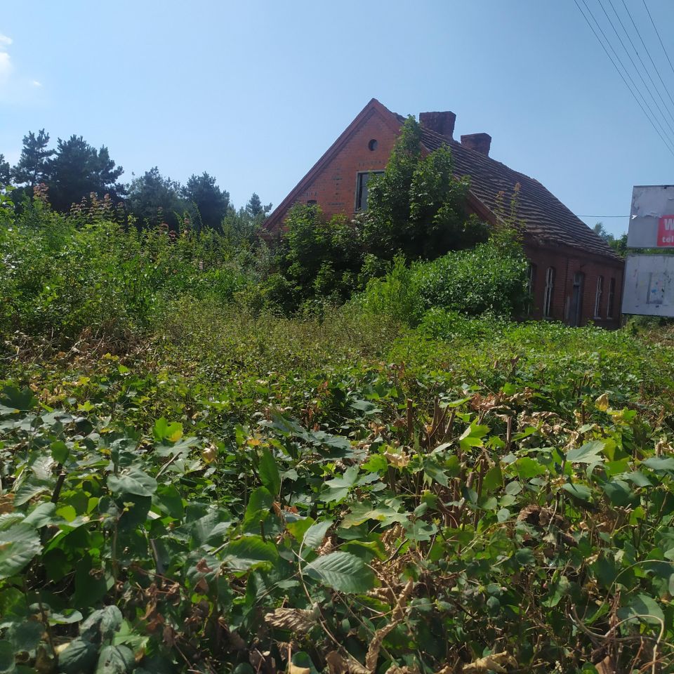Działka rolno-budowlana Rychnowy, Rychnowy. Zdjęcie 2