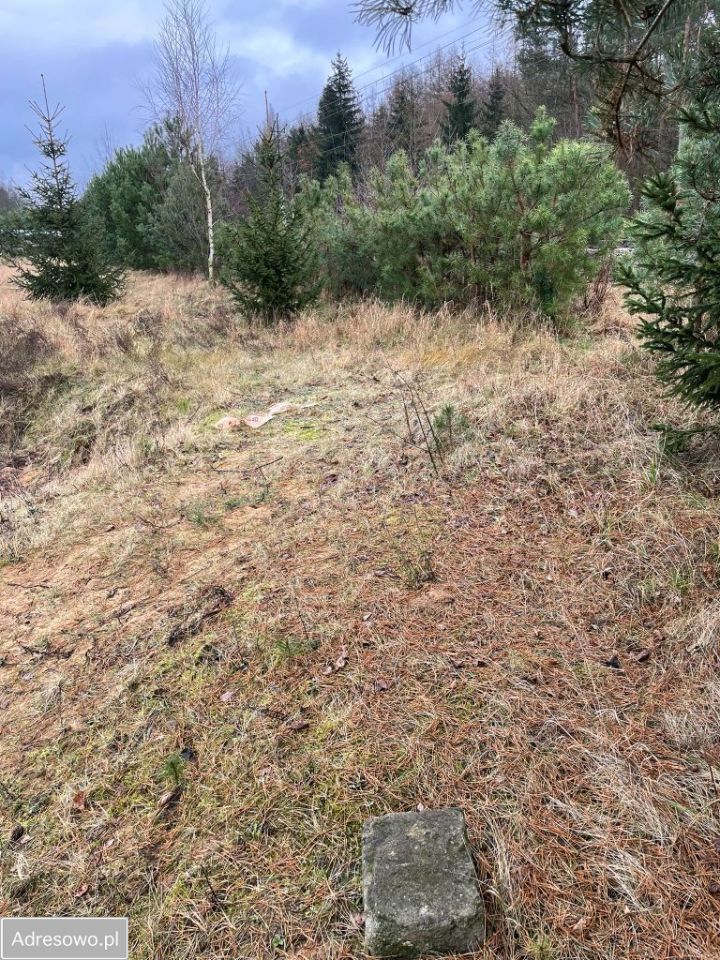 Działka budowlana Bielice. Zdjęcie 3