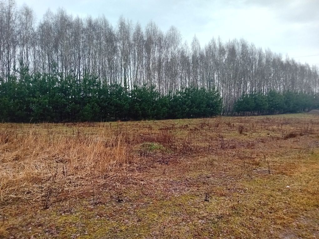 Działka budowlana Wroników. Zdjęcie 4