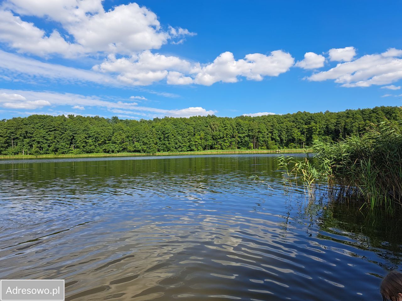 siedlisko, 8 pokoi Klępnica. Zdjęcie 10