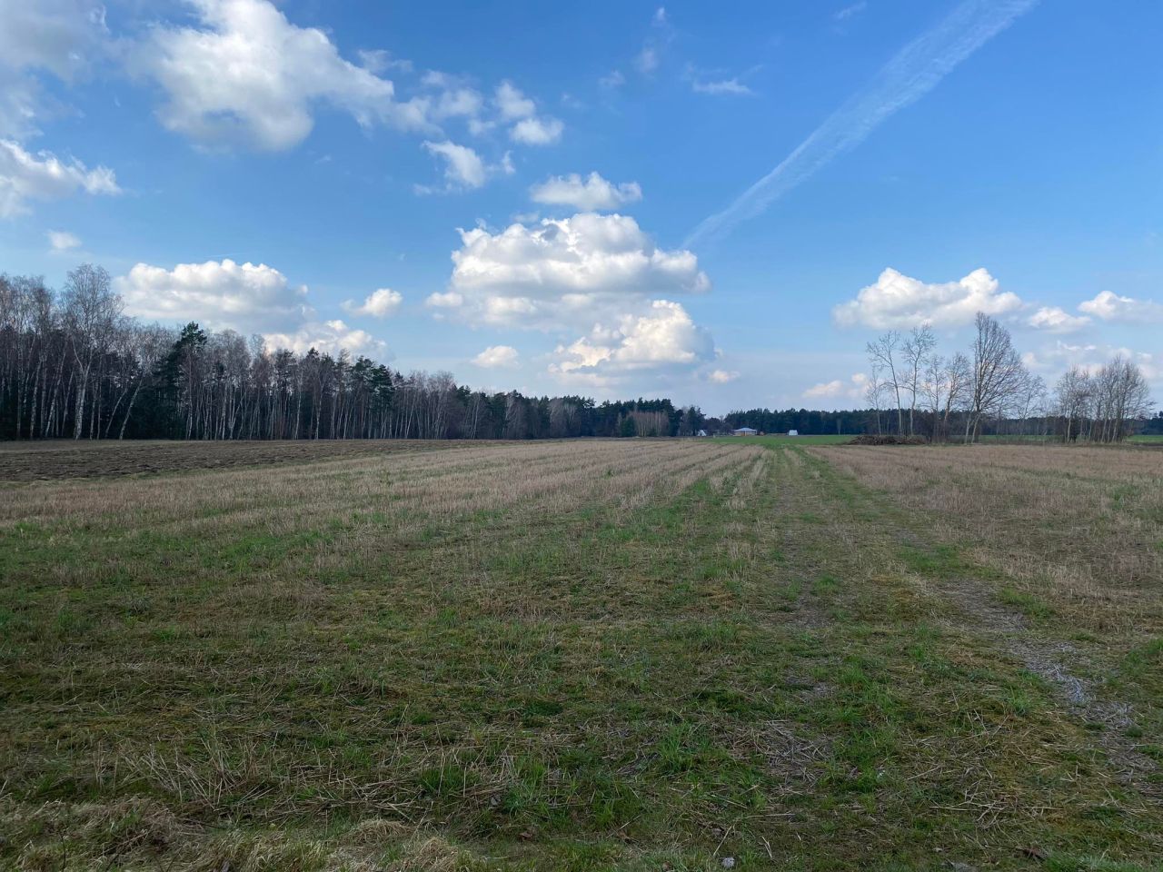 Działka budowlana Panaszew. Zdjęcie 4