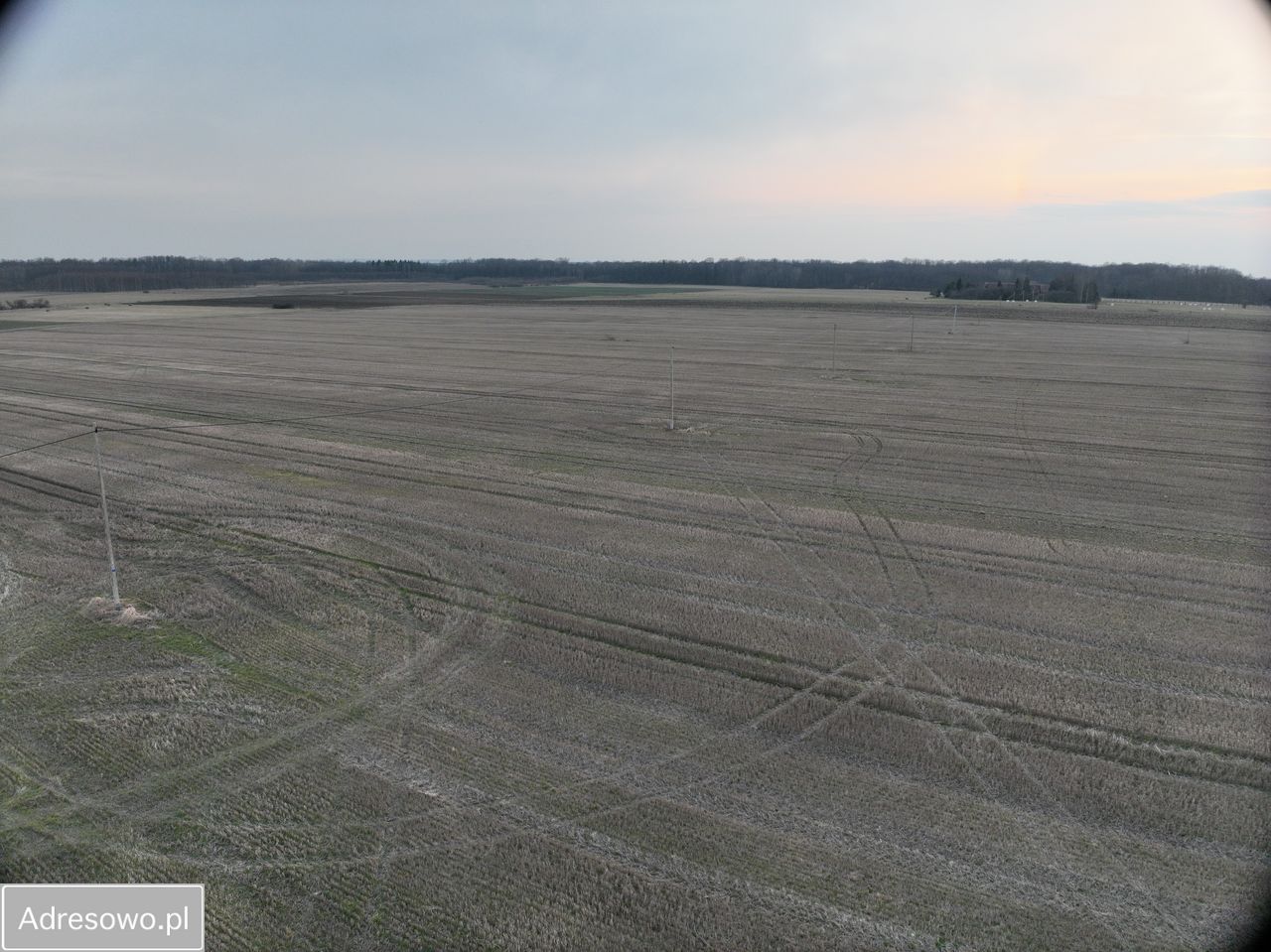 Działka rolna Wilczęta. Zdjęcie 3