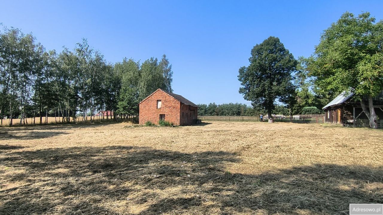 Działka rolno-budowlana Dąbrówka Osuchowska. Zdjęcie 11