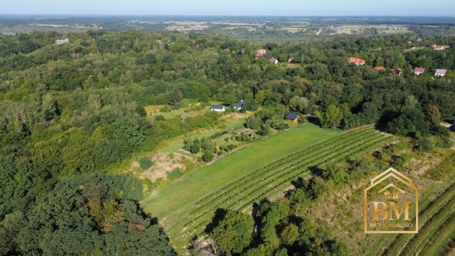 Działka siedliskowa Kazimierz Dolny, Góry. Zdjęcie 6