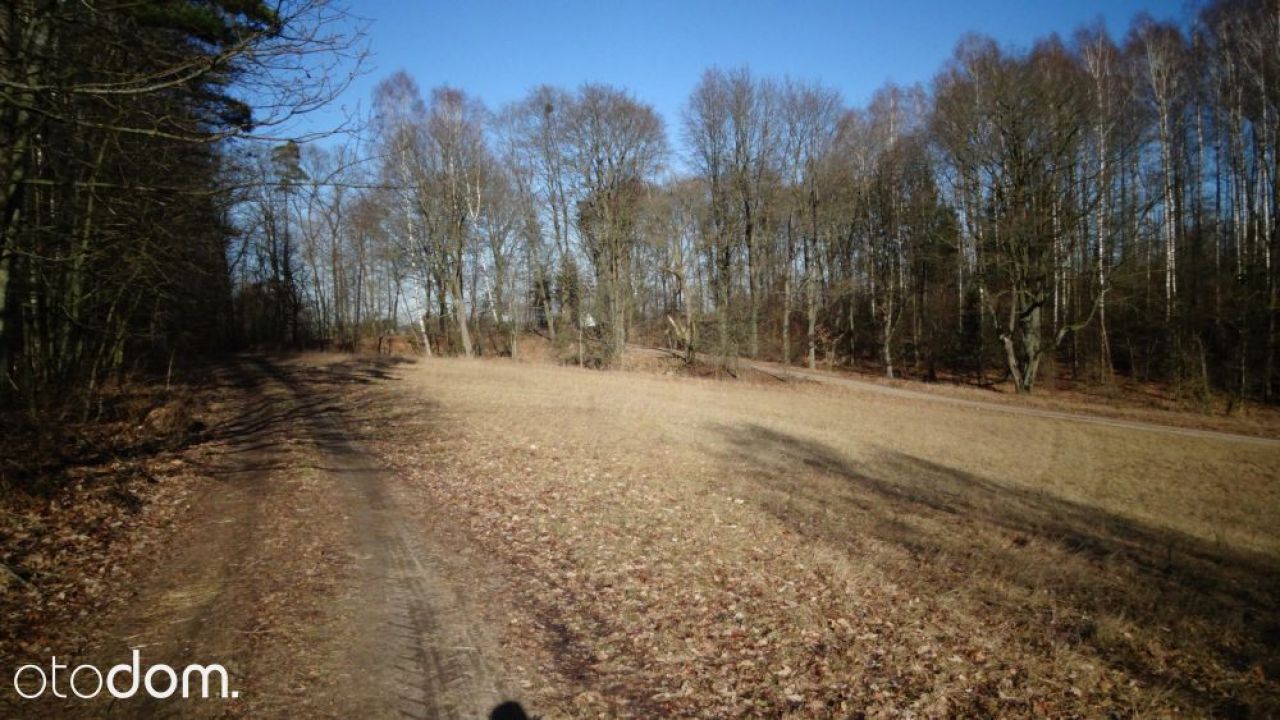 Działka rolna Przytuły. Zdjęcie 3