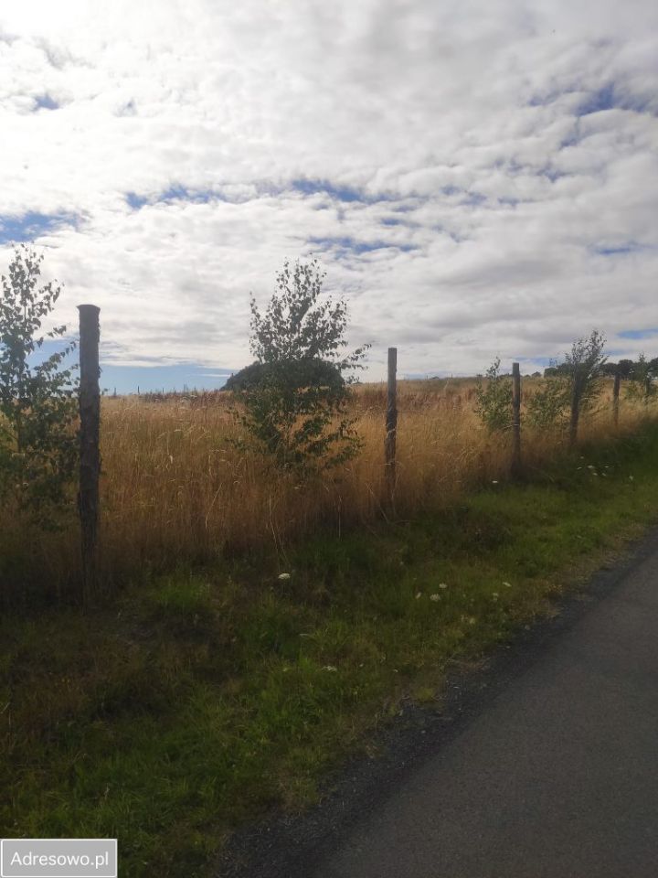 Działka budowlana Myślinów. Zdjęcie 4