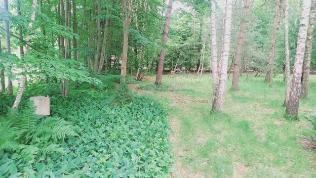 Działka budowlana Złotokłos. Zdjęcie 27