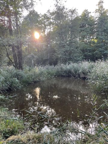 Działka rolno-budowlana Pieszowola Czołoma. Zdjęcie 1