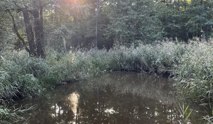 Działka rolno-budowlana Pieszowola Czołoma