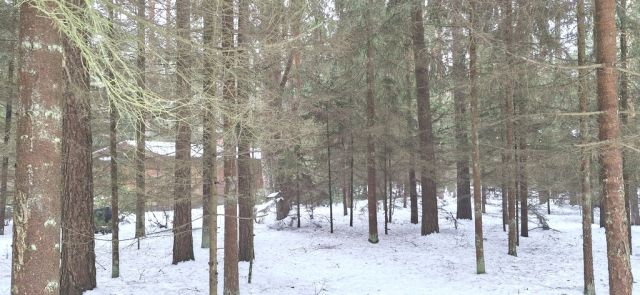 Działka rekreacyjna Osiedle Wilga. Zdjęcie 10