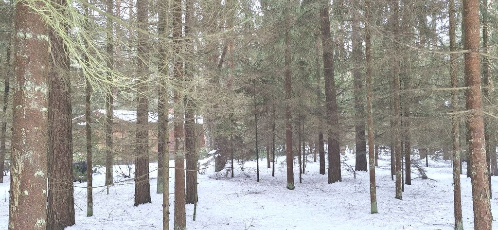 Działka rekreacyjna Osiedle Wilga. Zdjęcie 10