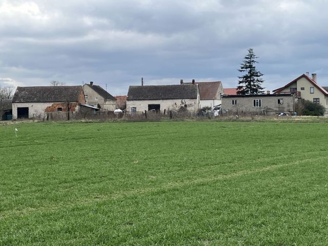 Działka budowlana Wilków, ul. Żyznowska. Zdjęcie 1