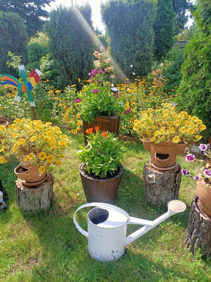Działka rod Łódź Górna, ul. Lodowa. Zdjęcie 70