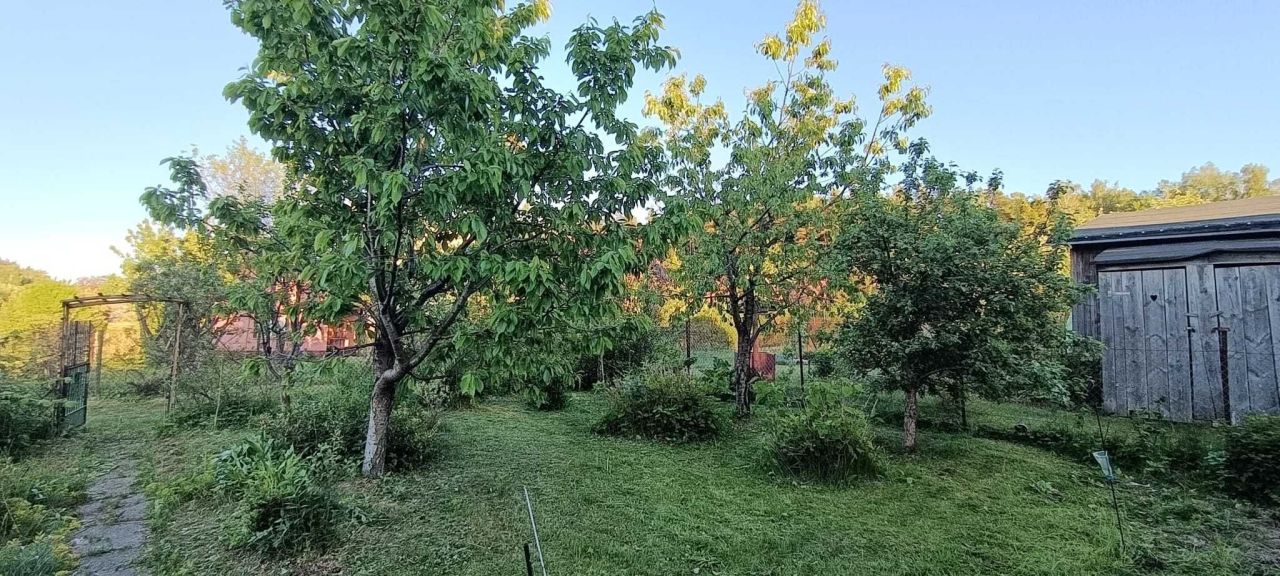 Działka rod Olsztyn. Zdjęcie 3