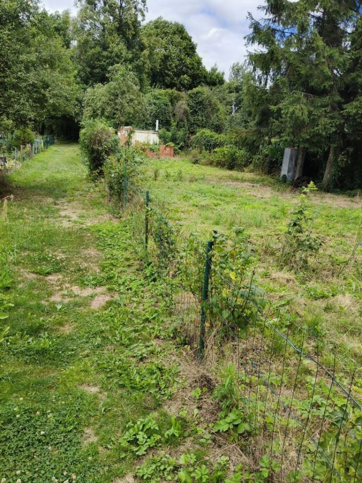Działka rod Legnica, ul. Jaworzyńska. Zdjęcie 4