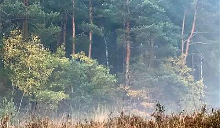 Działka budowlana Warszawa Wesoła, ul. Pogodna