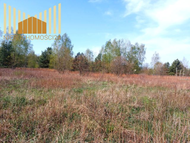 Działka budowlana Nowy Konik. Zdjęcie 2