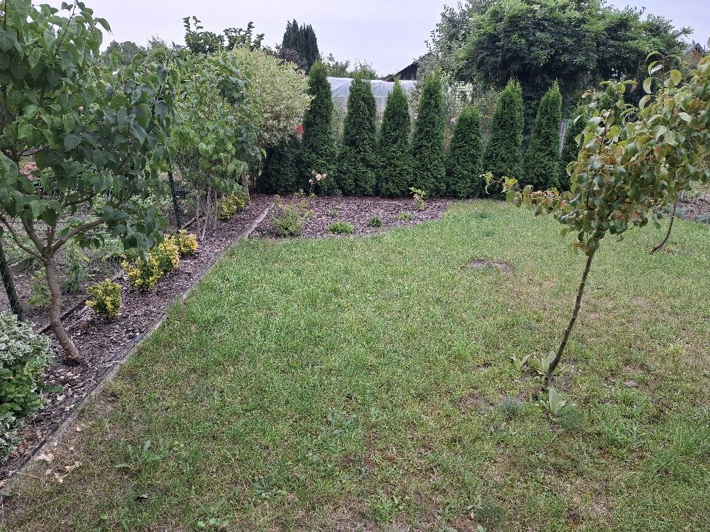 Działka rod Stargard, ul. Spokojna. Zdjęcie 5