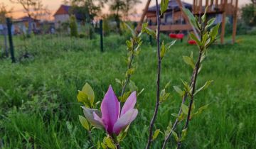 Działka rod Wrocław Fabryczna, ul. Szczecińska