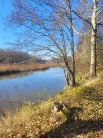 Działka budowlana Nowa Wieś, ul. Wierzbowa. Zdjęcie 1