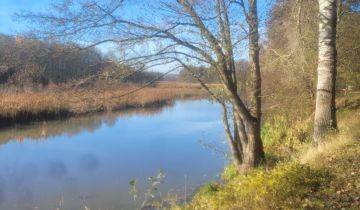 Działka budowlana Nowa Wieś, ul. Wierzbowa