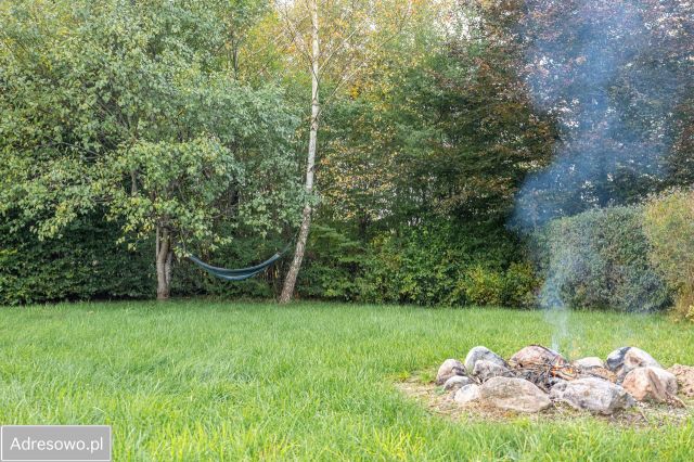 Działka budowlana Gowino, ul. Sosnowa. Zdjęcie 1